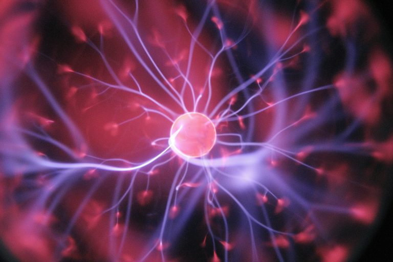 What Is Nervous System Regulation, and Why Do We Need It?